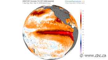 What could a 'super' El Niño mean for the Prairies?
