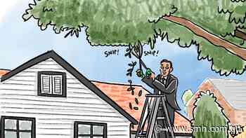 Best of cartoons, September 22, 2026