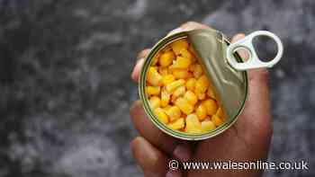 Cheap tinned sweetcorn tastes 'much better' if you ditch microwave for easy technique