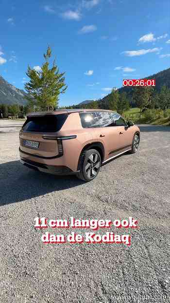 Pseudo-eindheffing? Deze Skoda keurt de baas wél goed! 😅