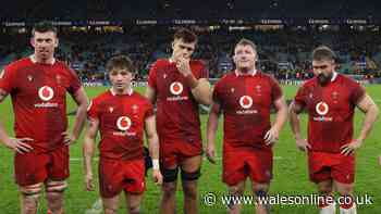 New World Rugby rankings published as Wales now closer to Canada than All Blacks