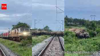 When Rajdhani Express stopped in Assam: The unusual encounter that held up superfast train