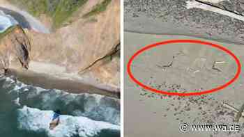 Dramatische Rettung am Strand: Touristen bei Foto-Aktion von Flut eingeschlossen