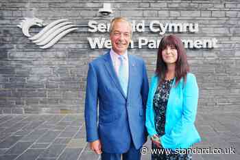 Former deputy Helen Jenner named new leader of Reform UK in Wales