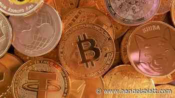 Kryptowährung: Bitcoin steigt auf mehr als 85.000 Dollar – Das sind die Ursachen und Perspektiven
