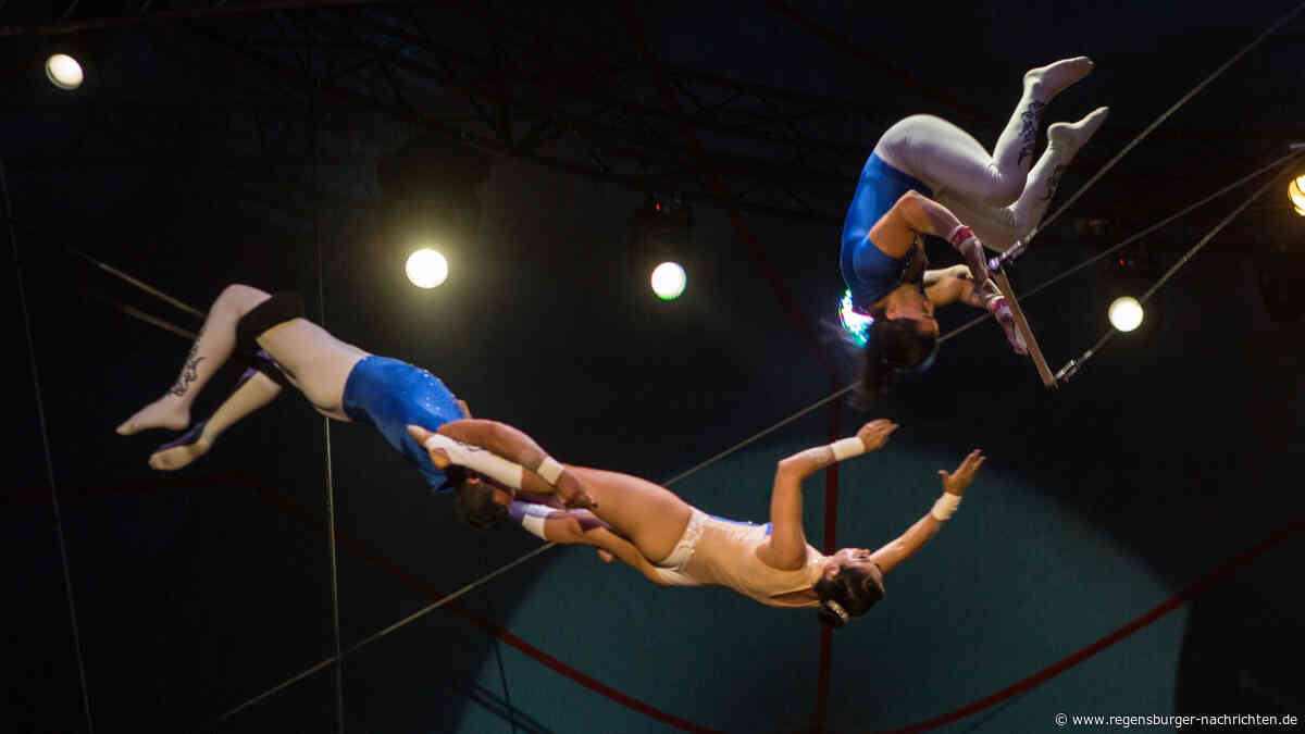 Circus Gebr?der Barelli kommt nach Regensburg