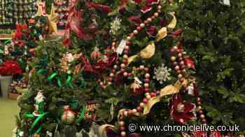 'It's never too early!' Christmas arrives at North East garden centre full of childhood memories