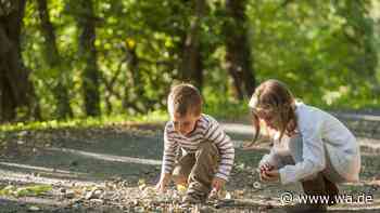 10 Kastanienspiele, die Kinder im Herbst sofort ausprobieren wollen