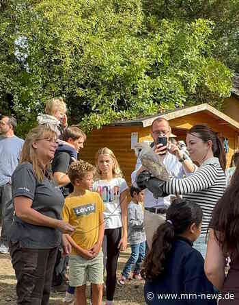 Weinheim – Alle wollten „Rauf auf die Burg“ – Mehr als 2000 Besucher pilgerten zum Familienfest am Weltkindertag und waren begeistert von den vielen Mitmachaktionen