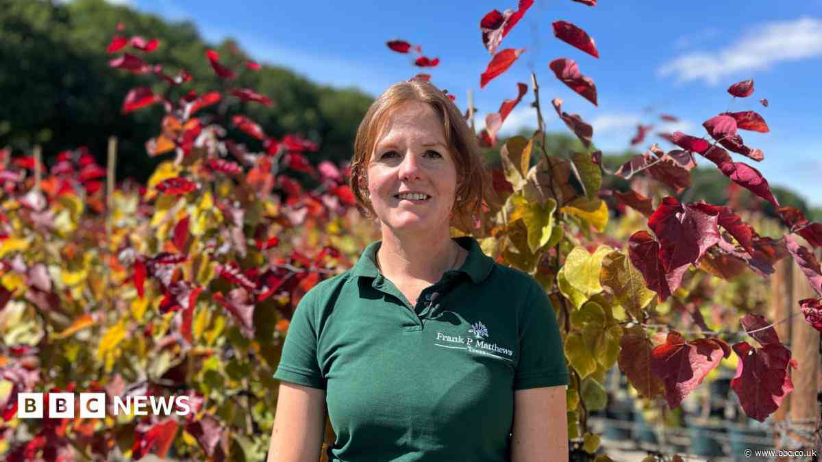 How climate change is reshaping Britain's trees