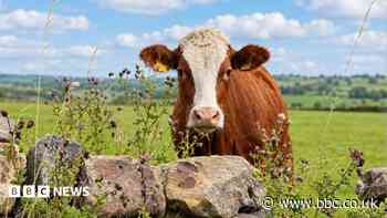 Your photos: September sunshine shots