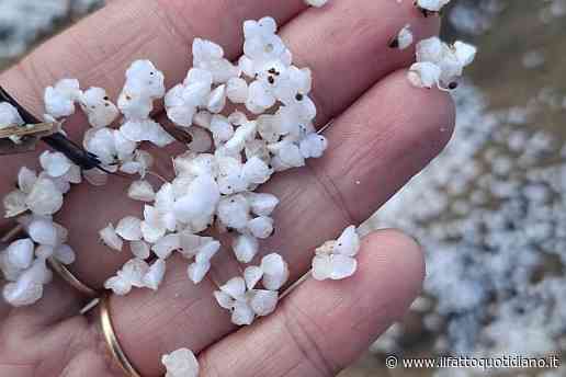 “E’ un materiale granuloso di colore bianco, monitoriamo con attenzione”: misteriosi frammenti bianchi invadono le spiagge della Toscana, indagini in corso per svelare l’origine della scia anomala