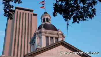 License plates, rentals and animal welfare: 12 Florida laws taking effect on Oct. 1