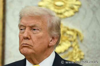 Trump Calls AI Fears a 'Hoax' as Family Deepens Investments Across AI Economy