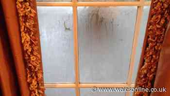 Households urged to do 1 daily task to prevent window condensation in winter