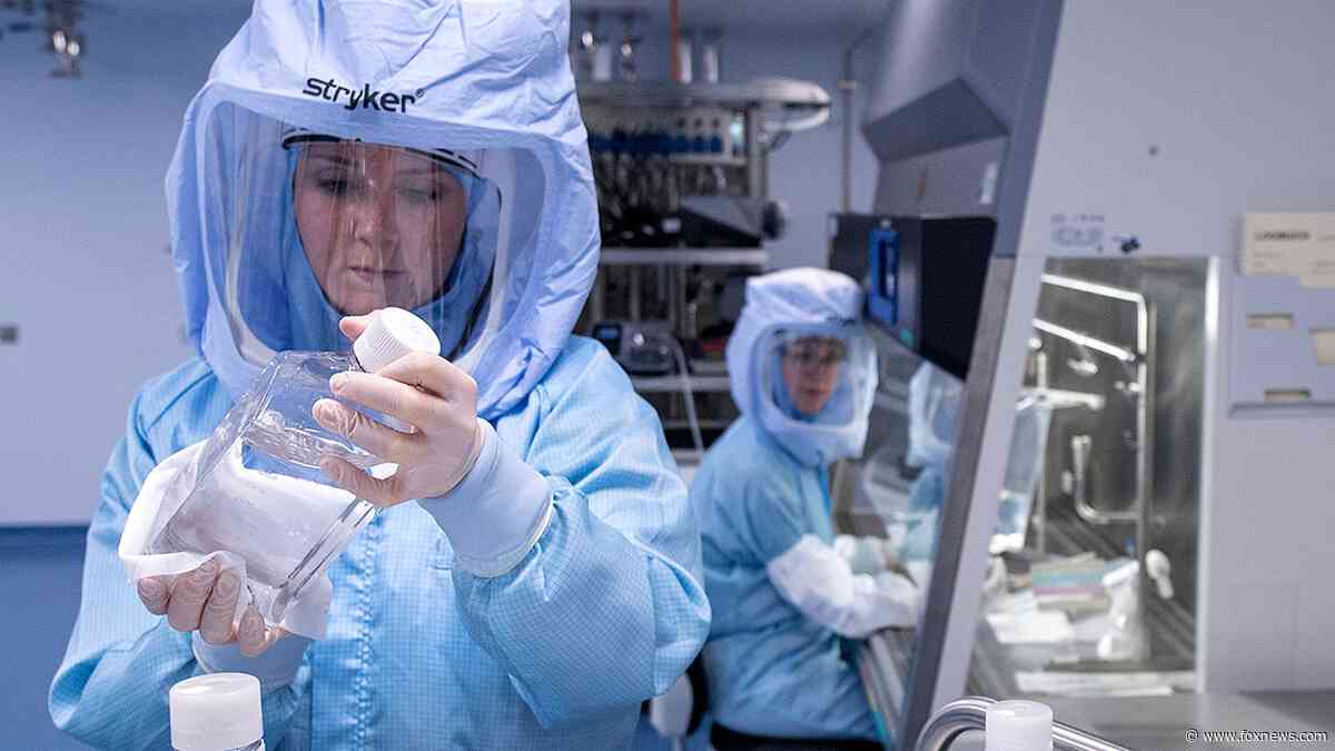 If Trump wants to lower drug prices, his obvious free-riding targets are outside the US
