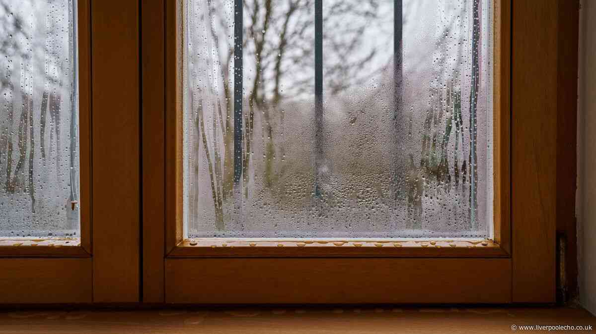 Prevent window condensation all winter by starting 1 daily task now