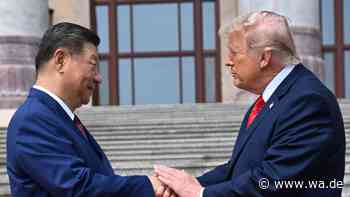 Xi reist zum Trump-Gipfel nach Washington – und die Gerüchte über seine Gesundheit reißen nicht ab