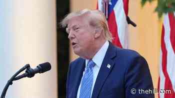 Trump denies 'instituting an assault on the free press'