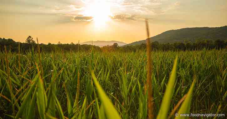 What’s holding organic back? The industry takes its case to Congress