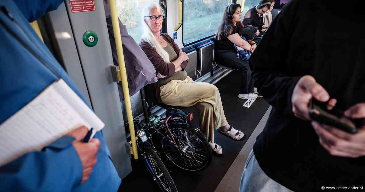 Dorothé (60) kan nog zitten, maar na een paar stations zit de trein bomvol: ‘Bussen zijn geen oplossing’