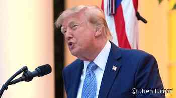 Trump: Russia has 'lost control' of diesel industry because of Ukraine war