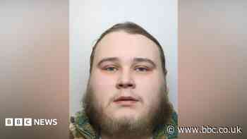Man jailed after gun found in park