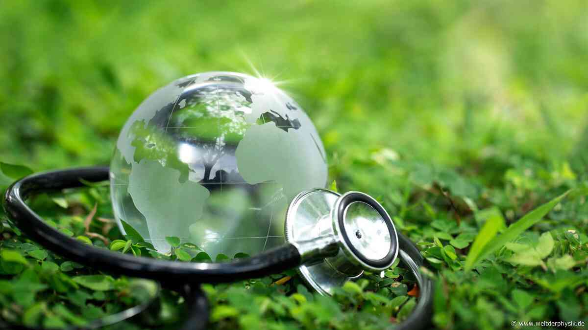 Planet Erde in kritischem Zustand