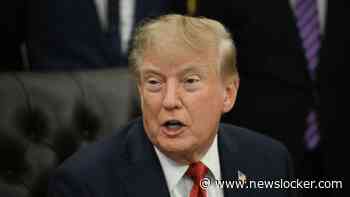 LIVE | Polen vestigt hoop op Donald Trump: regering wil 15.000 Amerikaanse militairen huisvesten
