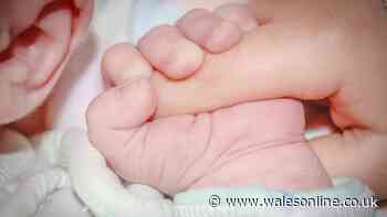 Pregnant mums 'not listened to' with tragic consequences