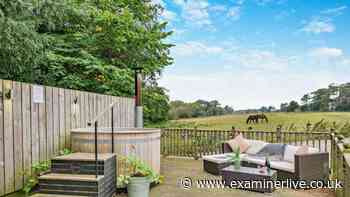Visitors praise hot tub stay at ‘idyllic’ country cottage with horses and sheep