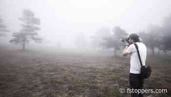 Chasing Fog in Galicia: How to Work a Single Tree