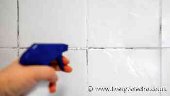 'Magic' 50p item cleans tile grout mould in seconds with no scrubbing