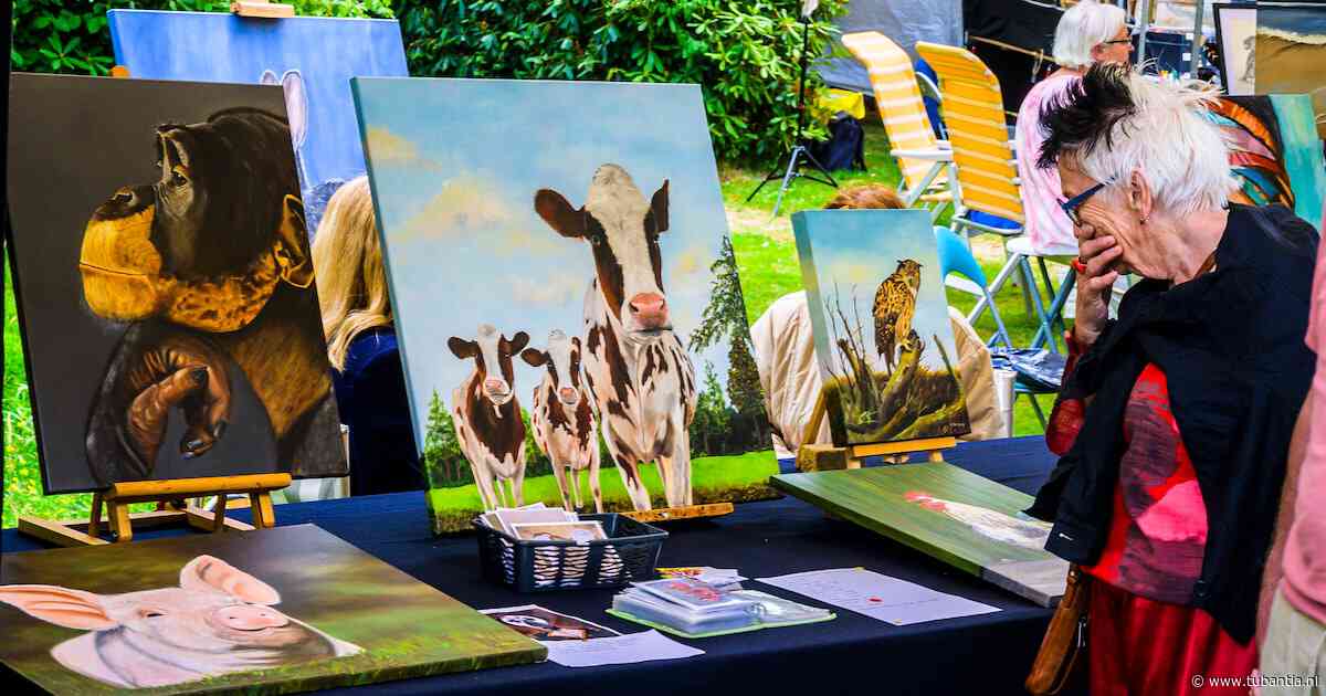 Schilders geven Haaksbergen een eigen gezicht, maar wat is de toekomst voor cultuur?