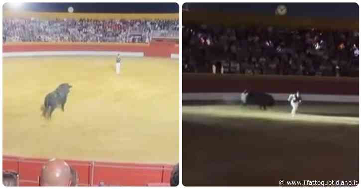 “L’impianto di illuminazione aveva subito già diversi guasti prima dell’inizio della competizione”: blackout in Spagna durante la corrida, il torero finisce a terra