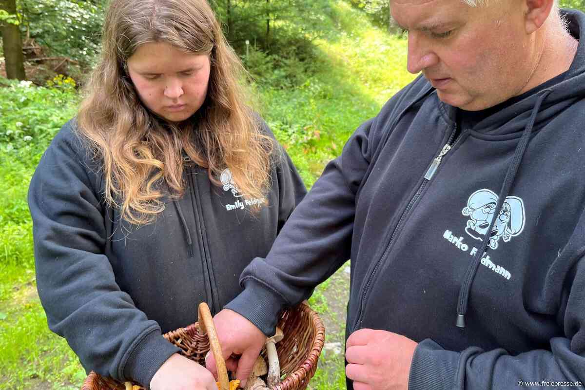 Plötzlich Knollis im Osterzgebirge - Pilzberater aus Dittersbach warnt vor Verwechslungen
