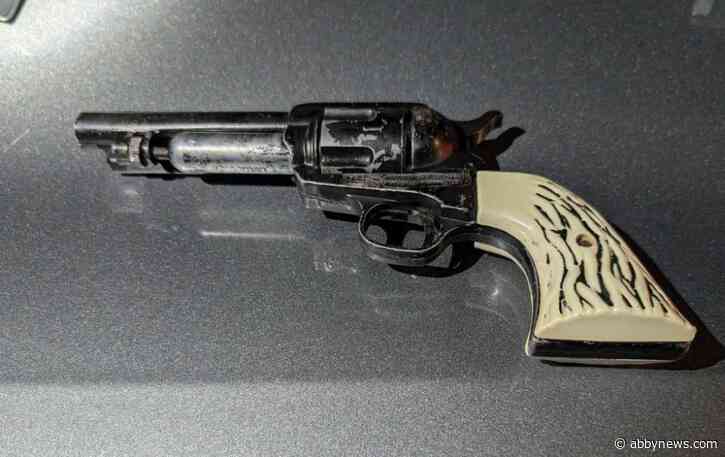 Abbotsford police seize 2 airsoft guns during weapons call