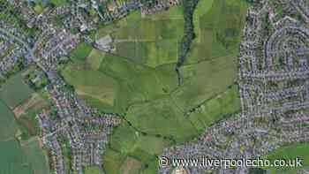 'No regard for other people' as goal posts stolen from Arrowe Park playing fields