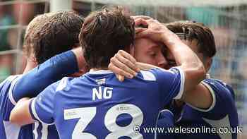 Cardiff City player ratings so far as new signing sensational and star undroppable