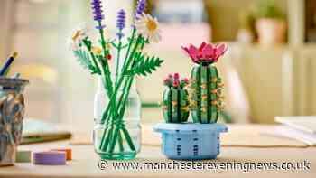 Argos shoppers race to buy £25 LEGO Botanicals Cactus set for £1.35 online