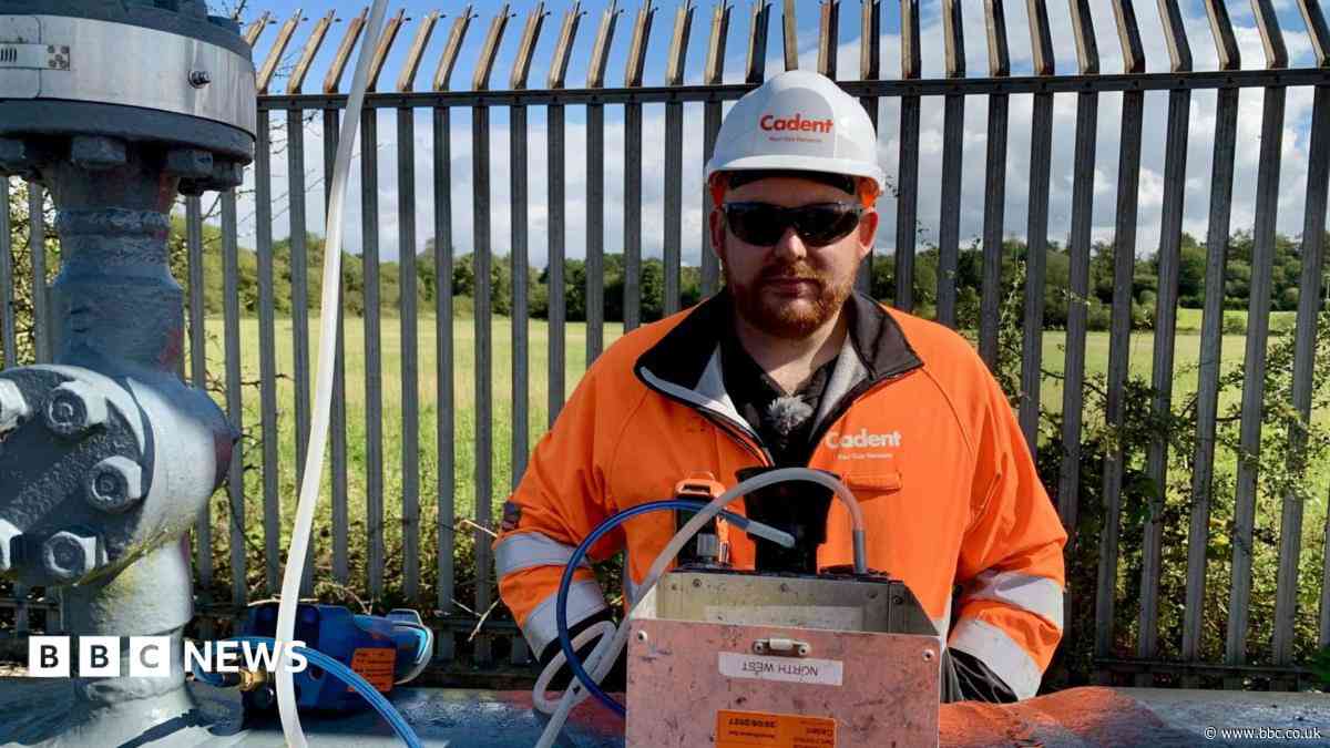 Meet the super-sniffer whose nose can save lives