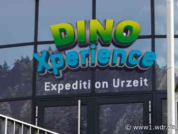 Dino-Ausstellung in Königswinter pleite