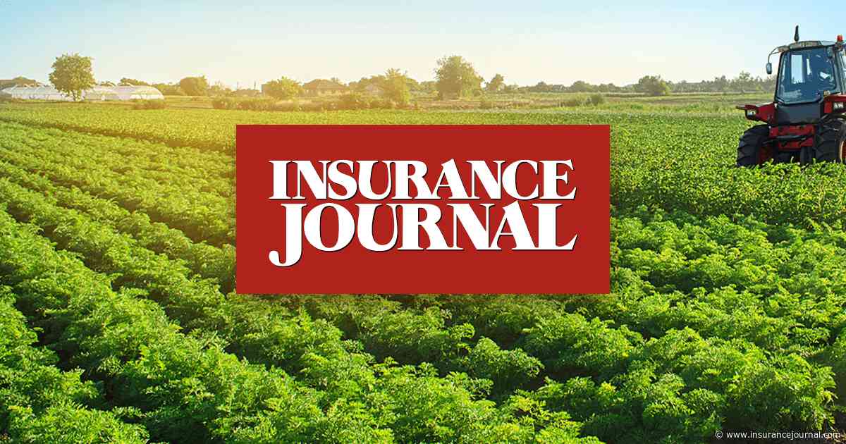 Scientists Researcher Deeper-Rooted Crops to Combat Climate Change