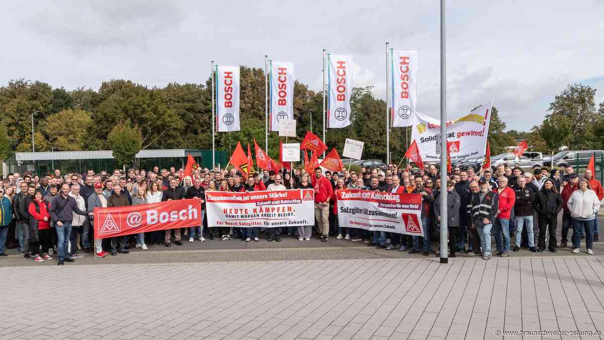 Gegen den Kahlschlag: Salzgitteraner Belegschaften machen mobil