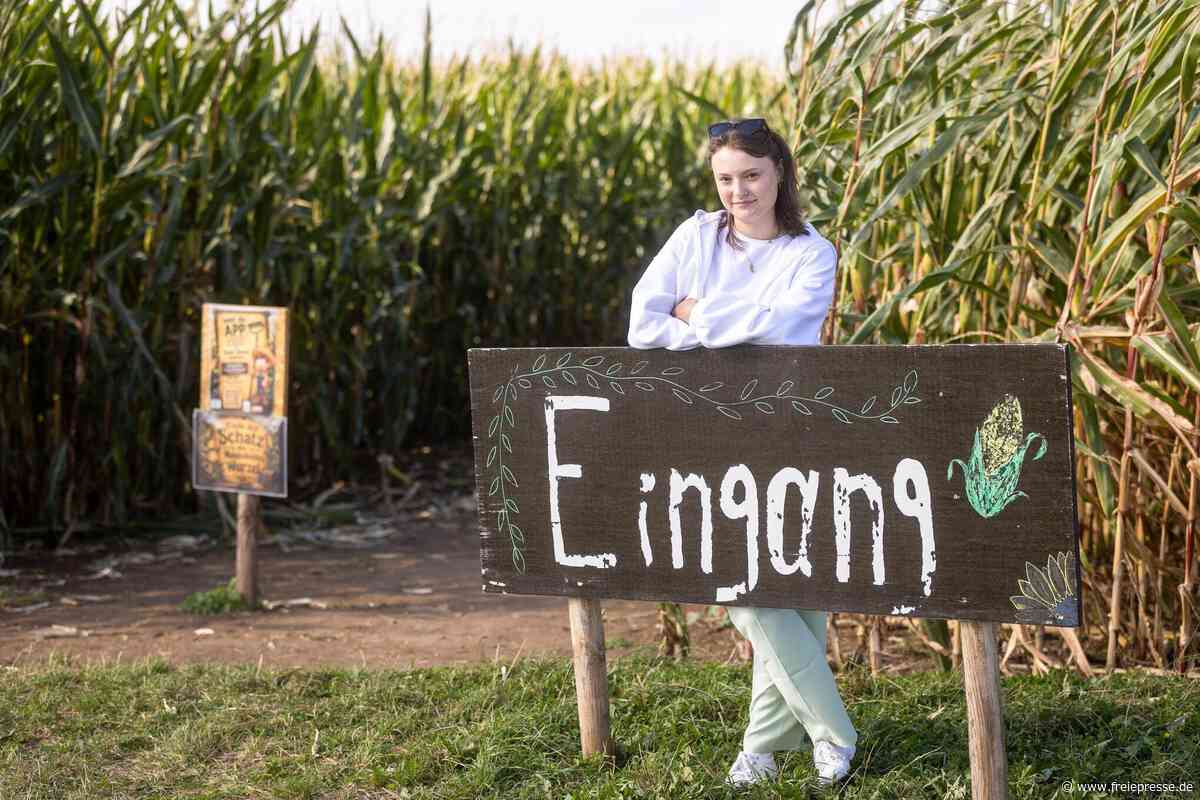 Maislabyrinth bei Limbach-Oberfrohna: Wie schnell findet man den Ausweg?
