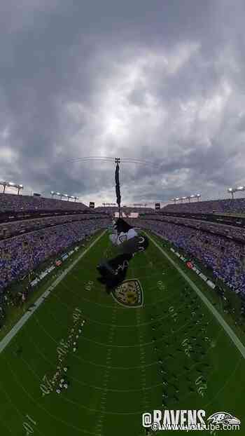 Mascot Final Boss 😂 #ravens #nfl #mascots
