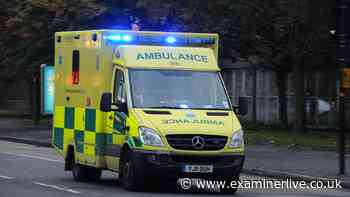 Teenage driver fighting for life with head injuries after A1 crash with HGV