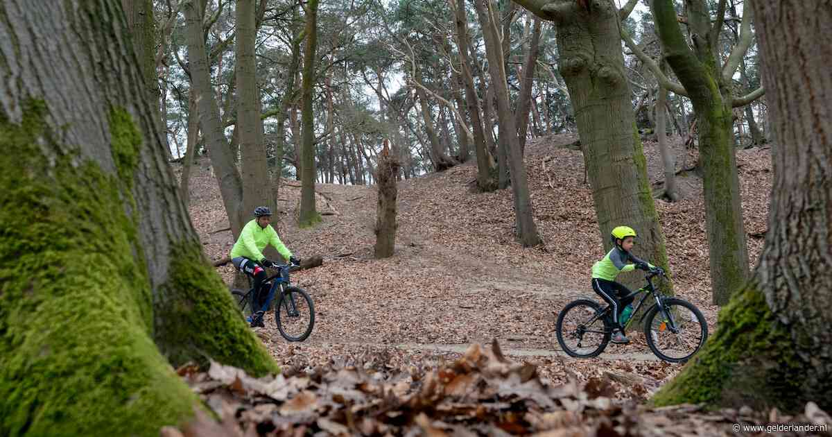 Mountainbikers zijn niet meer welkom in het bos, lezers reageren verdeeld: ‘Onzin, Nederland heeft geen natuur’