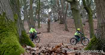 Mountainbikers zijn niet meer welkom in het bos, lezers reageren verdeeld: ‘Onzin, Nederland heeft geen natuur’