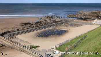 North East coastal council urged to give Tynemouth Outdoor Pool revival one more chance